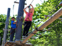 Treetop Adventure!